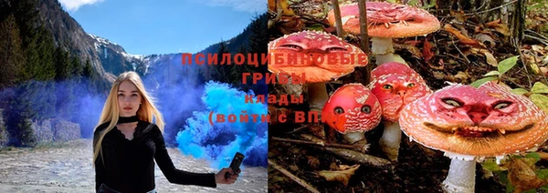 ешки Алзамай