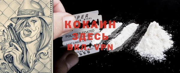 не бодяженный Алексин